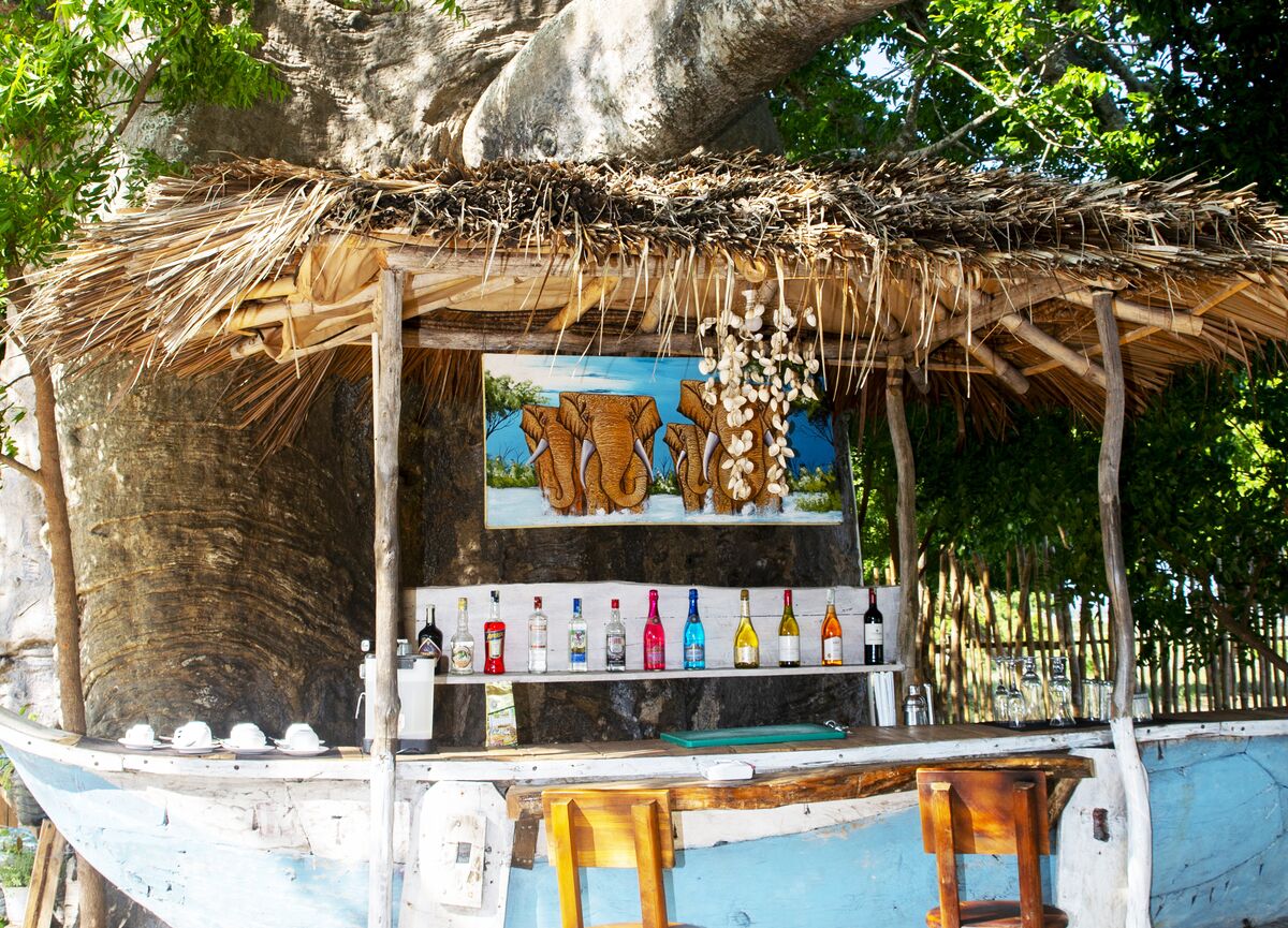The camp in use — The main house, the boat bar, the restaurant and the pool — the parts of Cterra you live in.