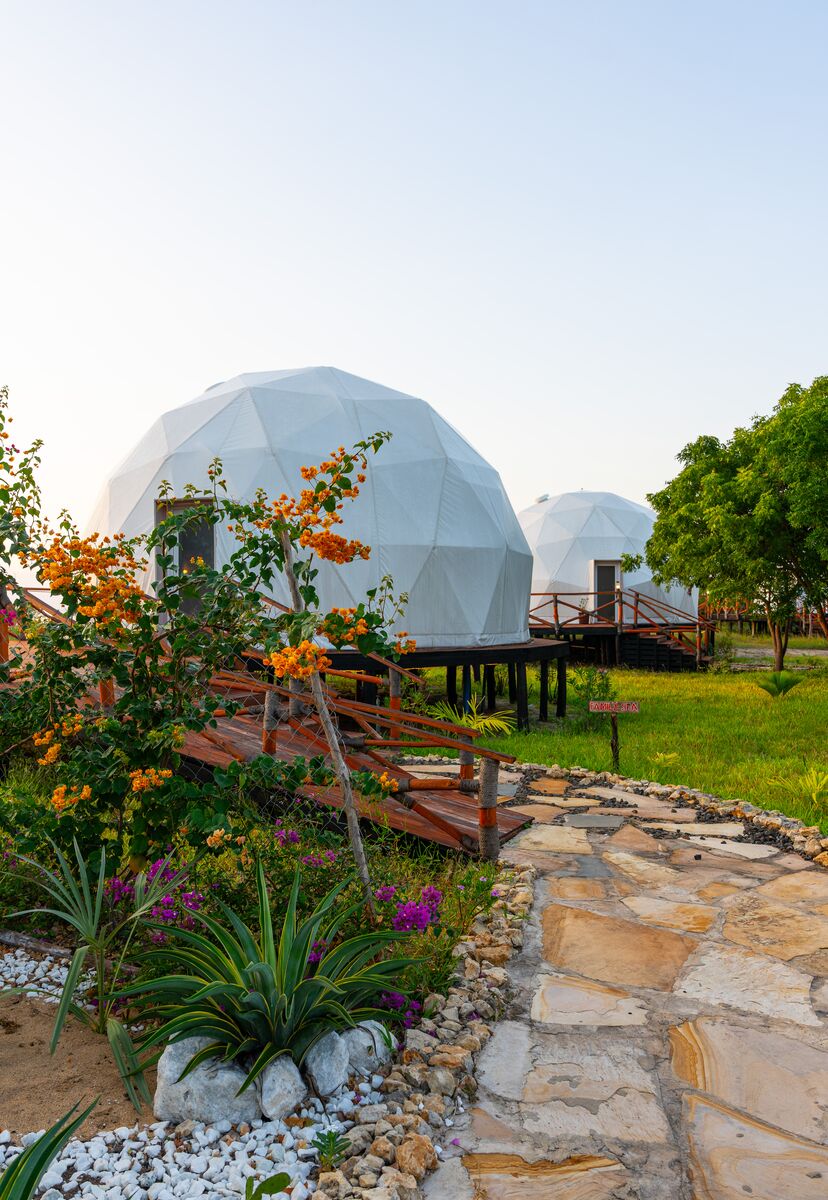 A dome tent among the bougainvillea in the garden at Cterra Saadani