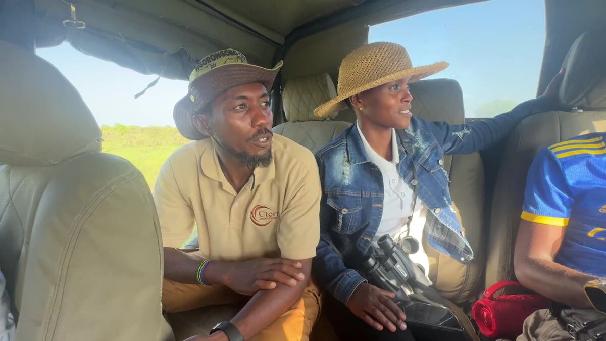 Guests and a guide in an open vehicle on a morning drive through the coastal savannah