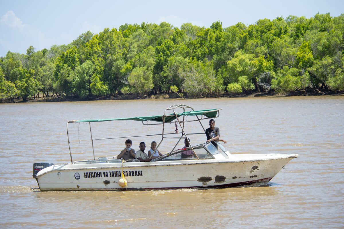 A hippo in the Wami River, on the boat safari from Cterra Saadani