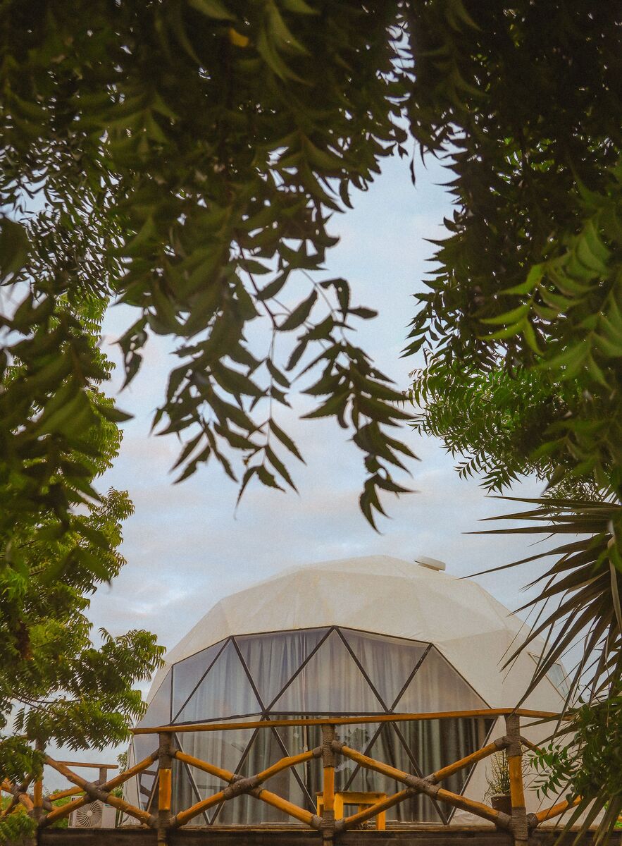 The domes from outside — The tented domes on their platforms, among the palms and facing the ocean.