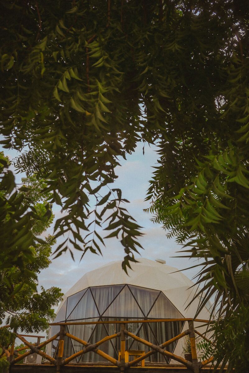 The domes from outside — The tented domes on their platforms, among the palms and facing the ocean.