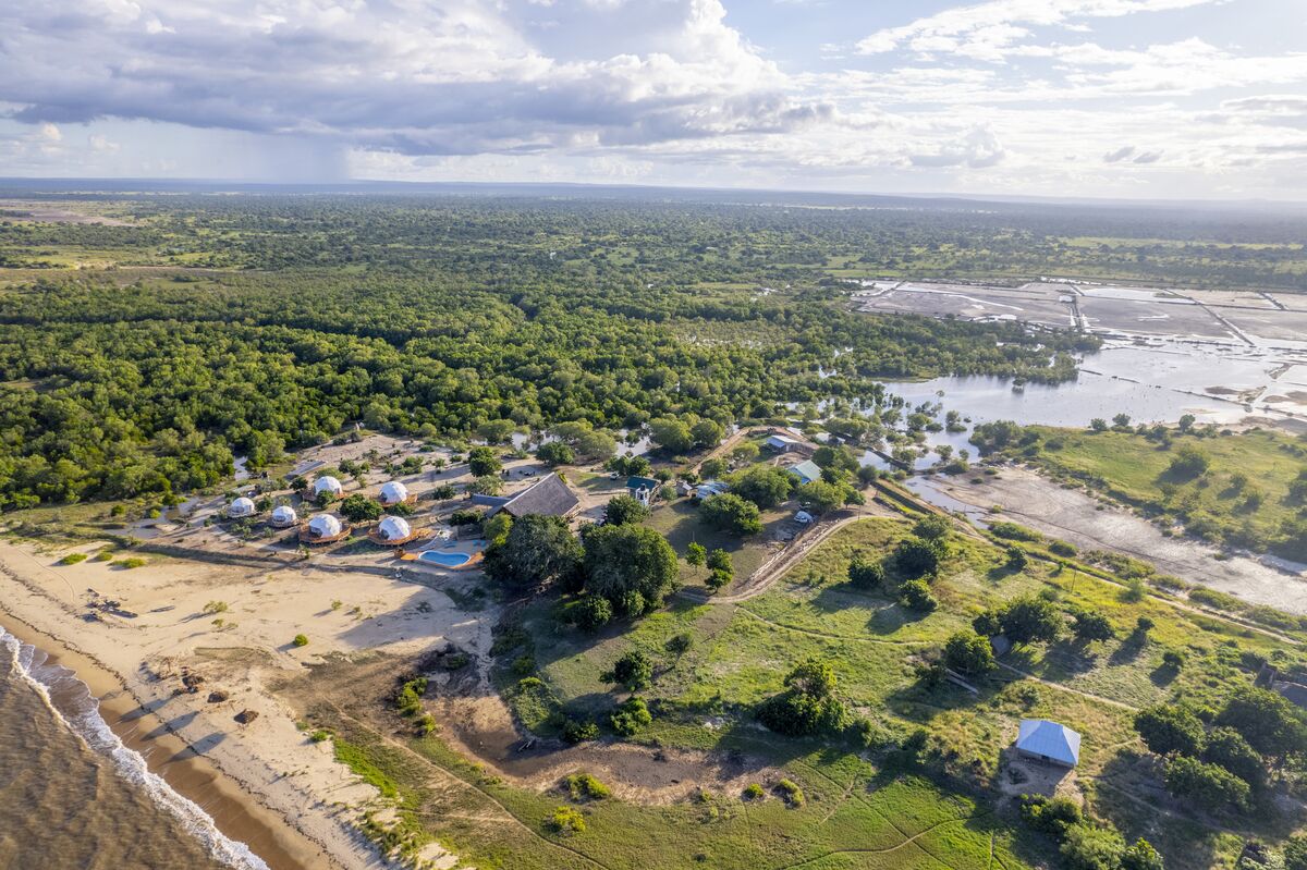 The park and the shore — Buffalo, giraffe, waterbuck and baboon on the floodplain, the estuary from the air, and the beach at first light.