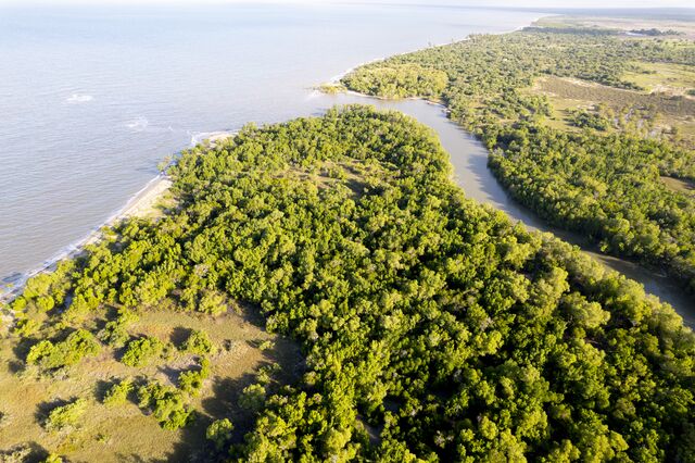 The park and the shore