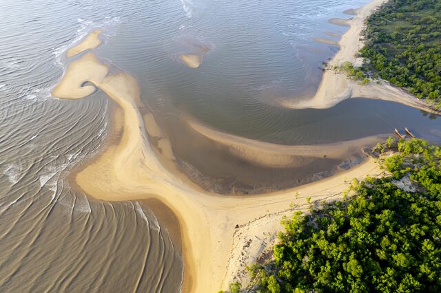 The park and the shore