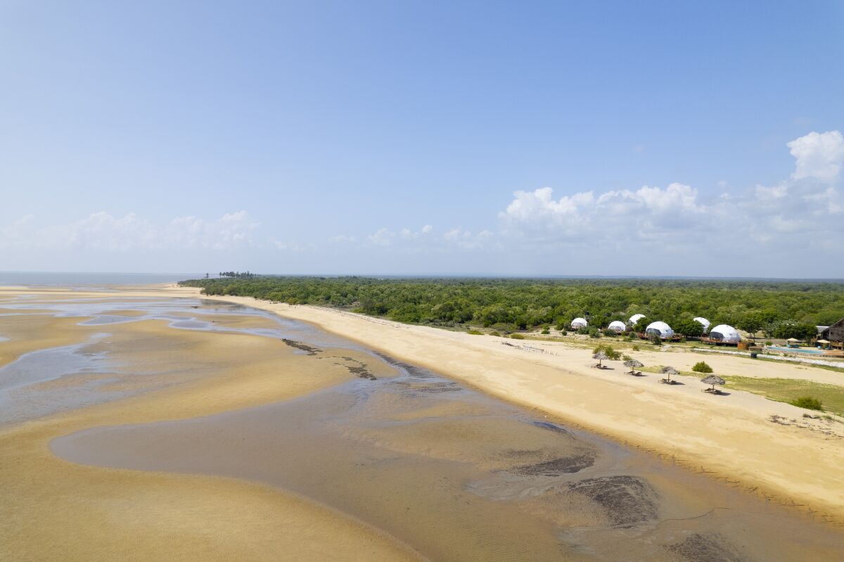 Saadani from the air: floodplain, palms and the Indian Ocean behind