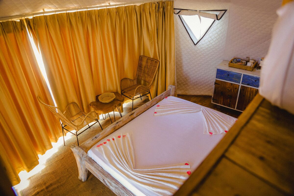Inside a Standard tent at Cterra Saadani, with the timber wall and the driftwood bed