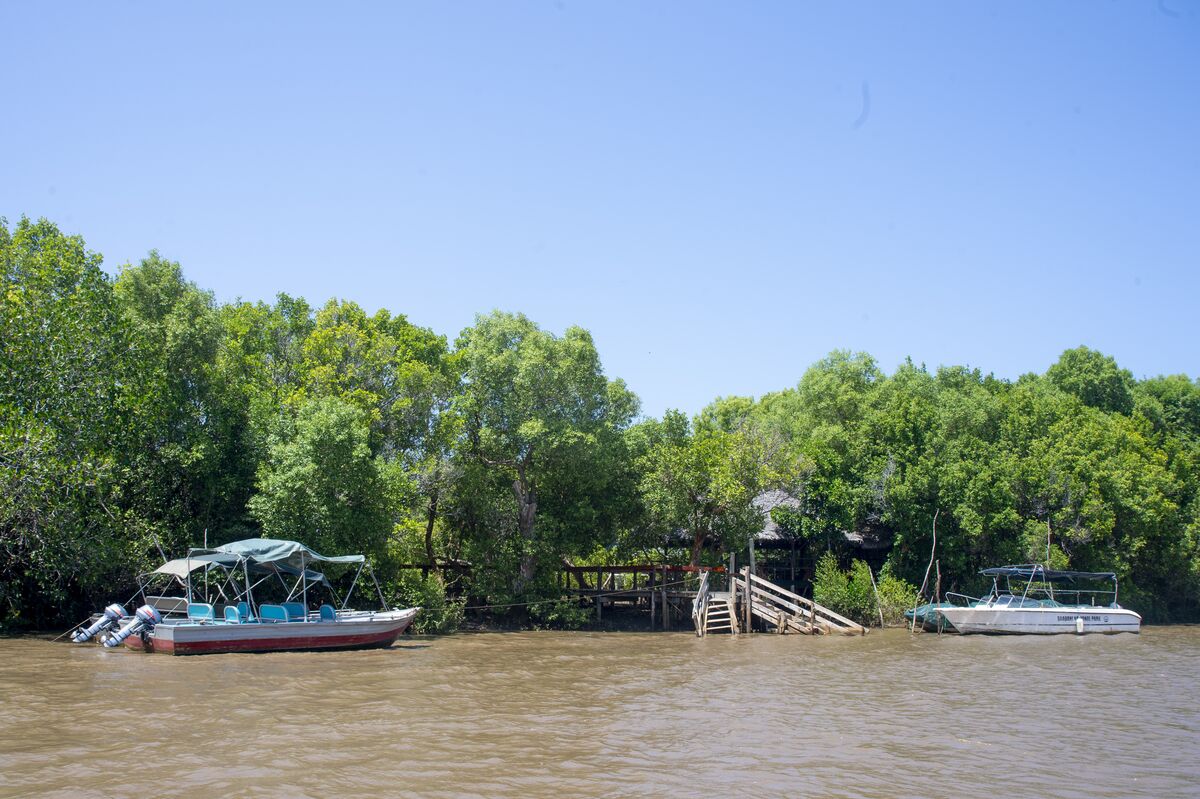 The experiences — The game drive, the Wami river, the Mafui sandbank, the villages and the bonfire.