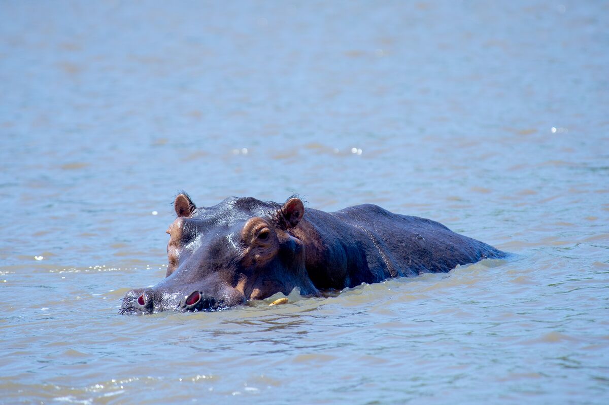 The experiences — The game drive, the Wami river, the Mafui sandbank, the villages and the bonfire.