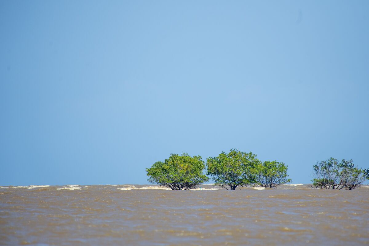 The experiences — The game drive, the Wami river, the Mafui sandbank, the villages and the bonfire.